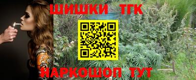 Альфа ПВП Будённовск