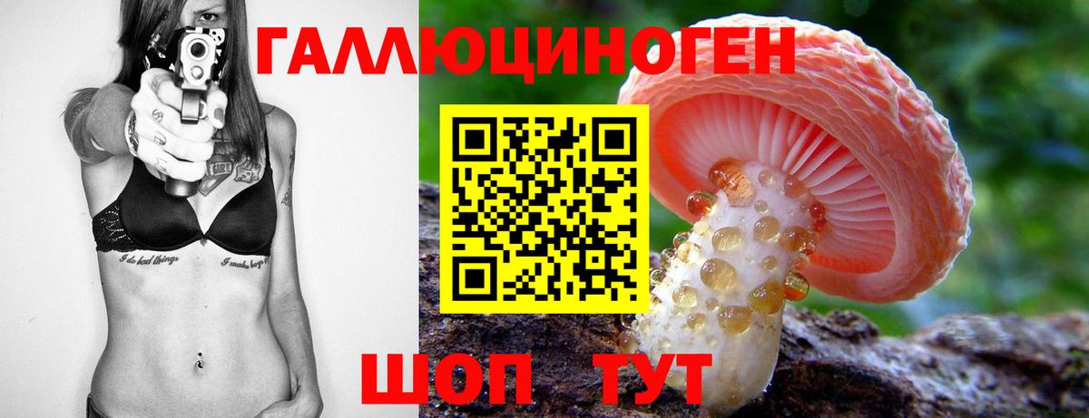 Псилоцибиновые грибы MAGIC MUSHROOMS Курчатов